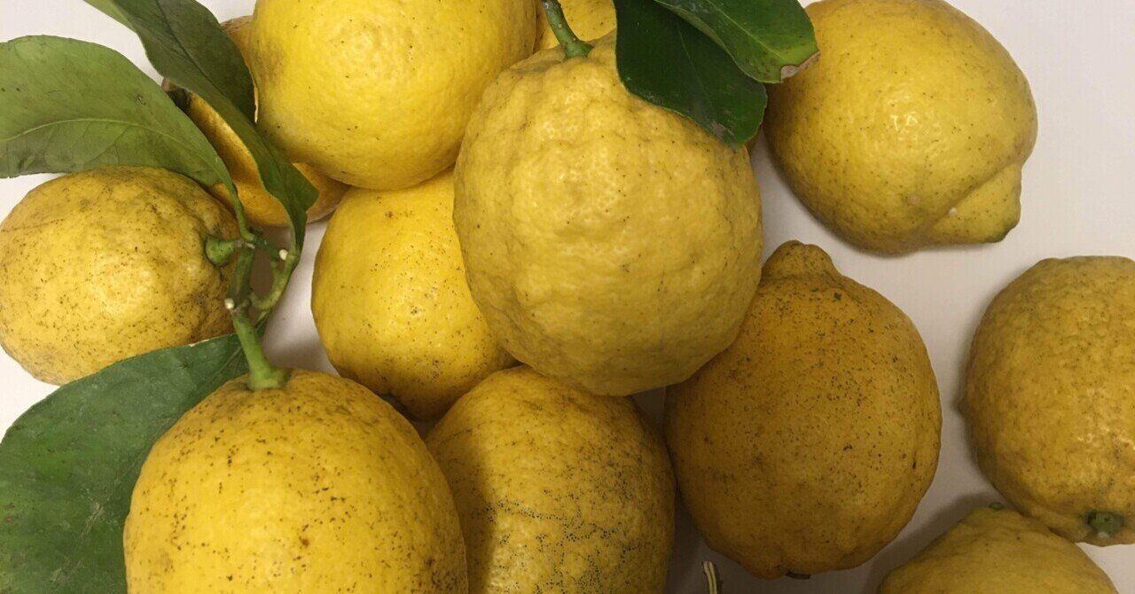 グランドセイコー セール note14日目 無農薬レモン🍋箱買いしてみた｜popo 果物