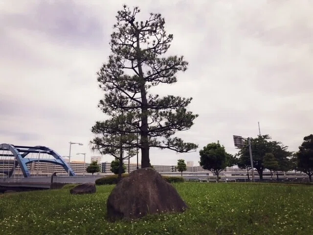 画像1