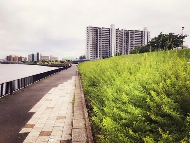 画像5
