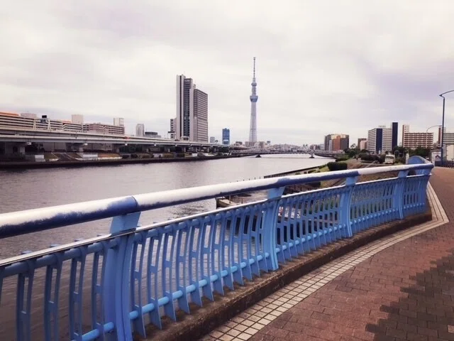 画像7