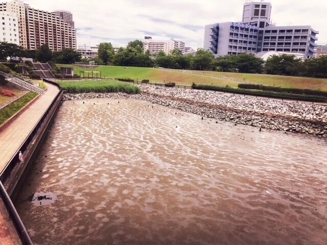 画像11