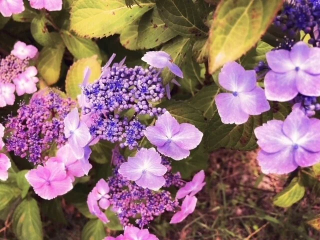 画像13