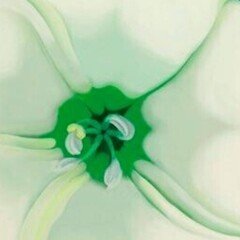 美術ブックリスト】 梶岡秀一・岸田夏子『京都国立近代美術館の