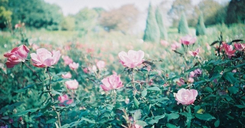 名言 6 ことばのお洒落は ファッションのように遠目で人を引きつけはしない 無料で手に入る最高のアクセサリーである ー向田邦子 阿久津友美 Note 名言 6 ことばのお洒落は ファッションのように遠目で人を引きつけはしない 無料で手に入る最高のアクセサリーである ー向田邦子 阿久津友美 Note