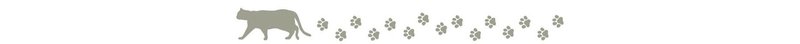 cat_footprint - コピー - コピー