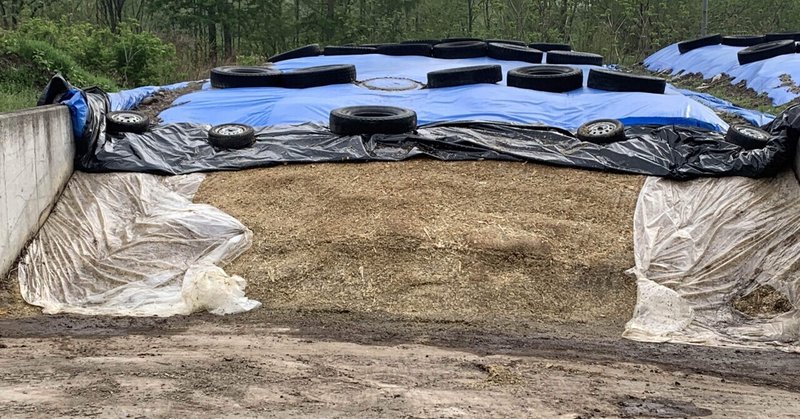 身体は鍛えないと鈍る ハヤカツ 牛乳か相談だ Note