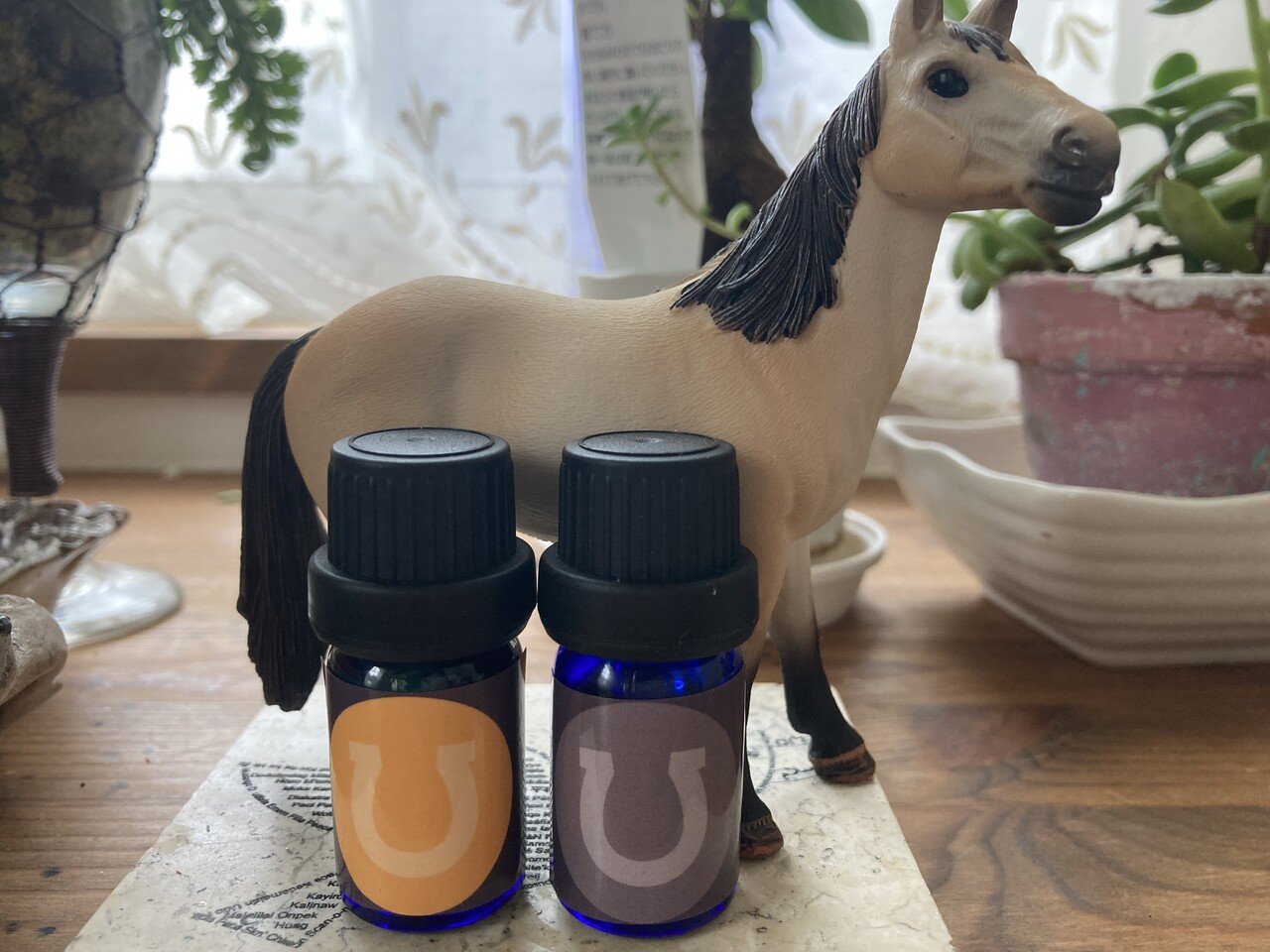 オーダーいただいた馬の虫除け アロマブレンド このブレンドは たくさんの馬関係の方にモニターしてもらい完成したものです リリースして3年 毎年リピーター様からオーダーいただき 感謝 カスタードクリーム 心の内を 英語で話せるようになりたい Note