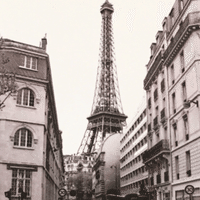 ヤシの木に降る雪 Green Moon Room Note