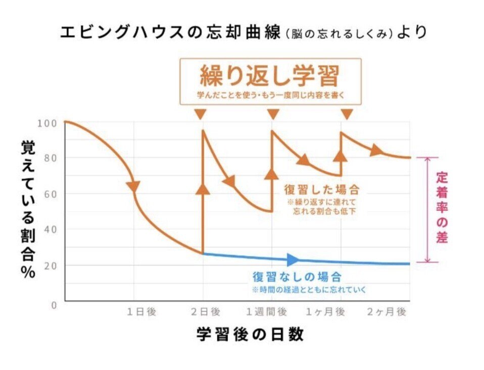 薬ゼミ週間復習テスト確認テスト1月2月分 - メルカリ