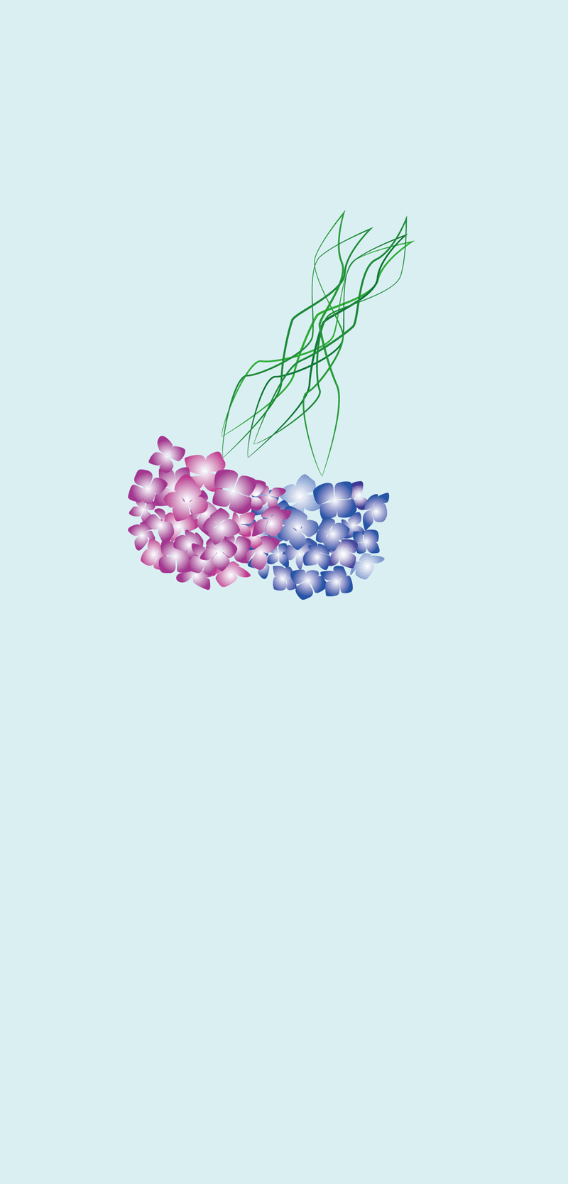 壁紙 6月の紫陽花 Miyami Note