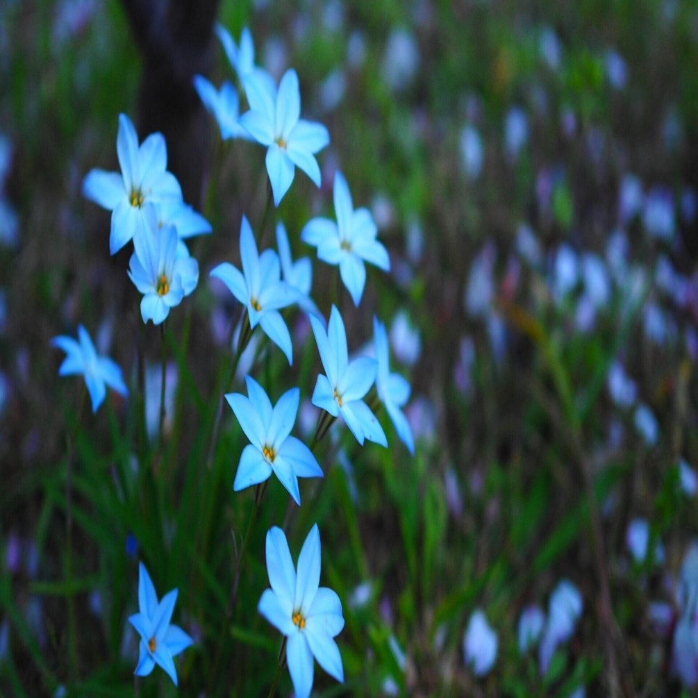 付き合う前が一番楽しい3つの理由 Ryo Note