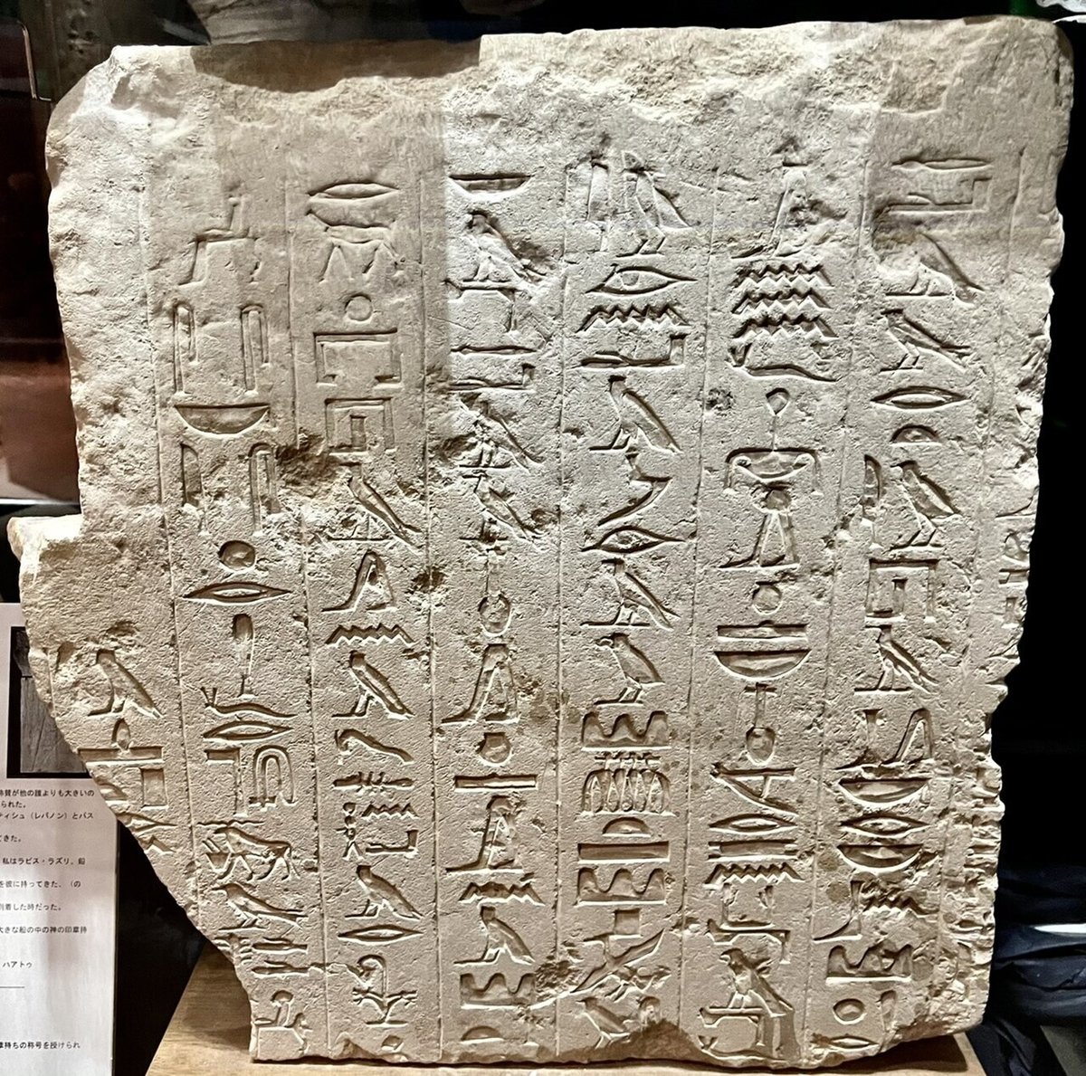 古代エジプト美術館を探検する:前編|Shelk🦋 古代エジプト美術館を探検する:前編|Shelk🦋