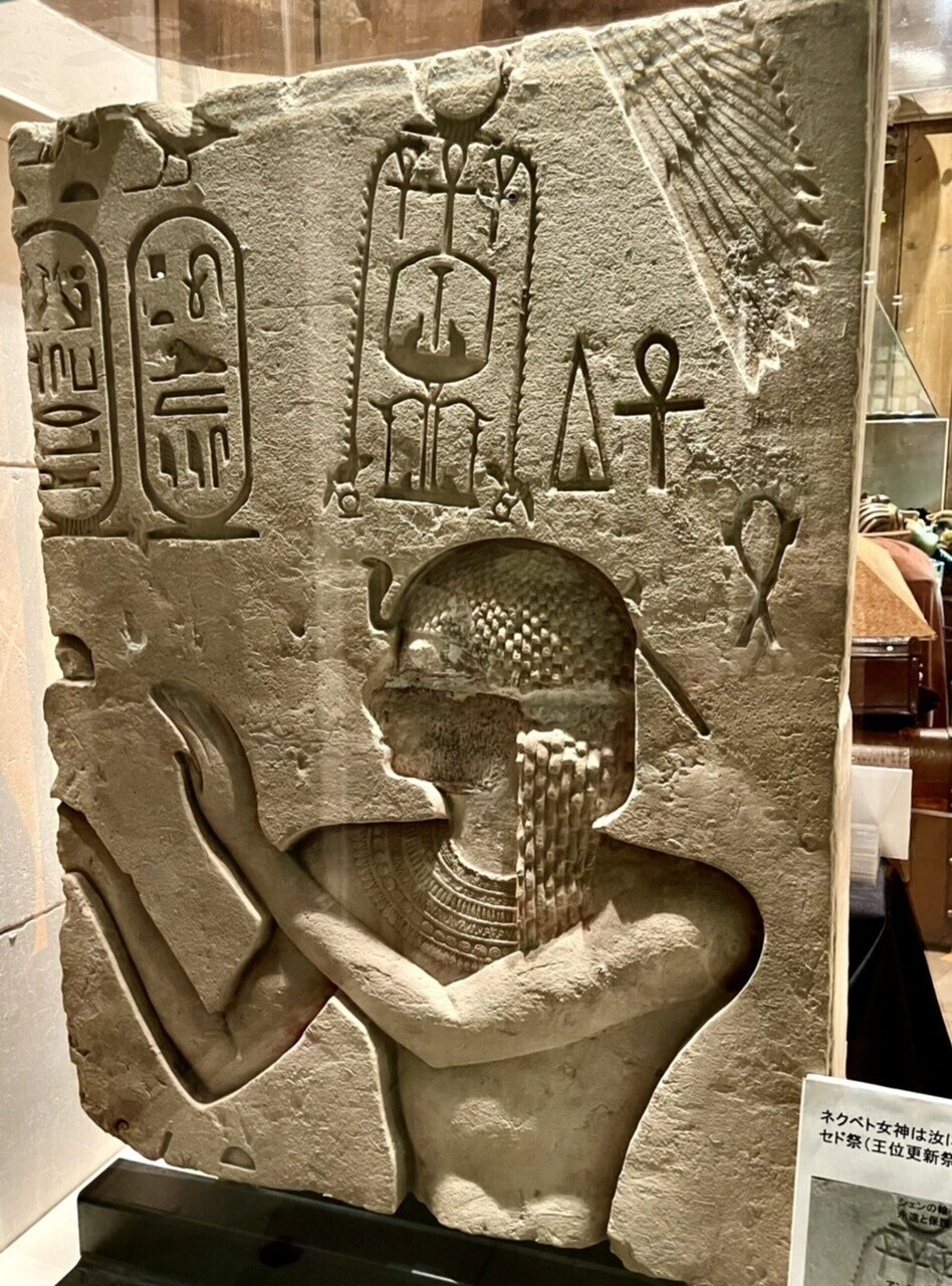 古代エジプト美術館を探検する:前編|Shelk🦋 古代エジプト美術館を探検する:前編|Shelk🦋