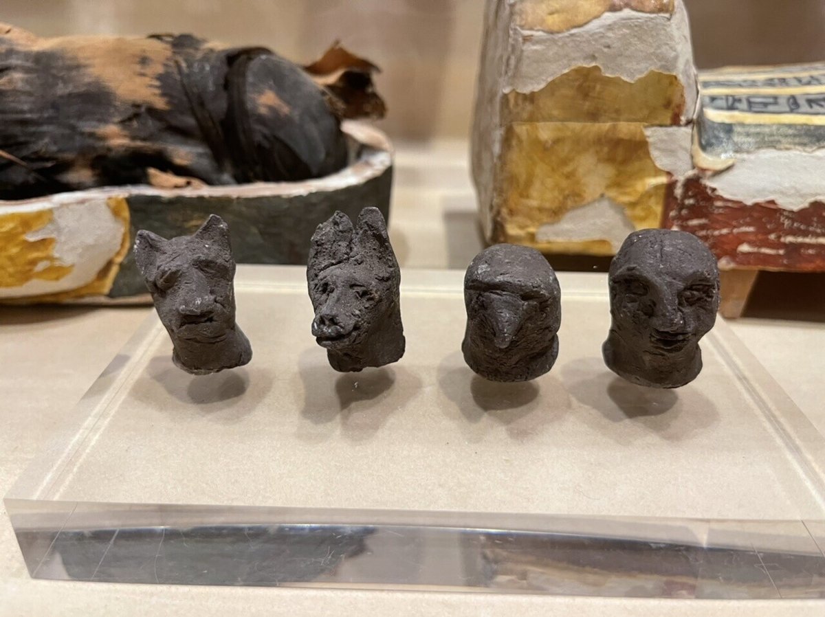 古代エジプト美術館を探検する:前編|Shelk🦋 古代エジプト美術館を探検する:前編|Shelk🦋