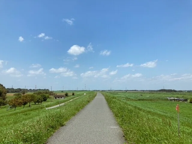 画像8