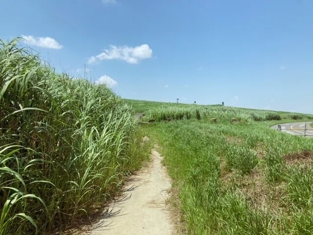 画像11