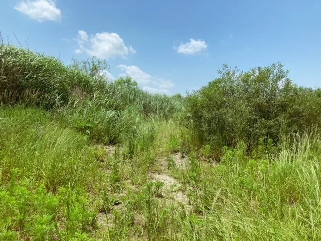 画像13