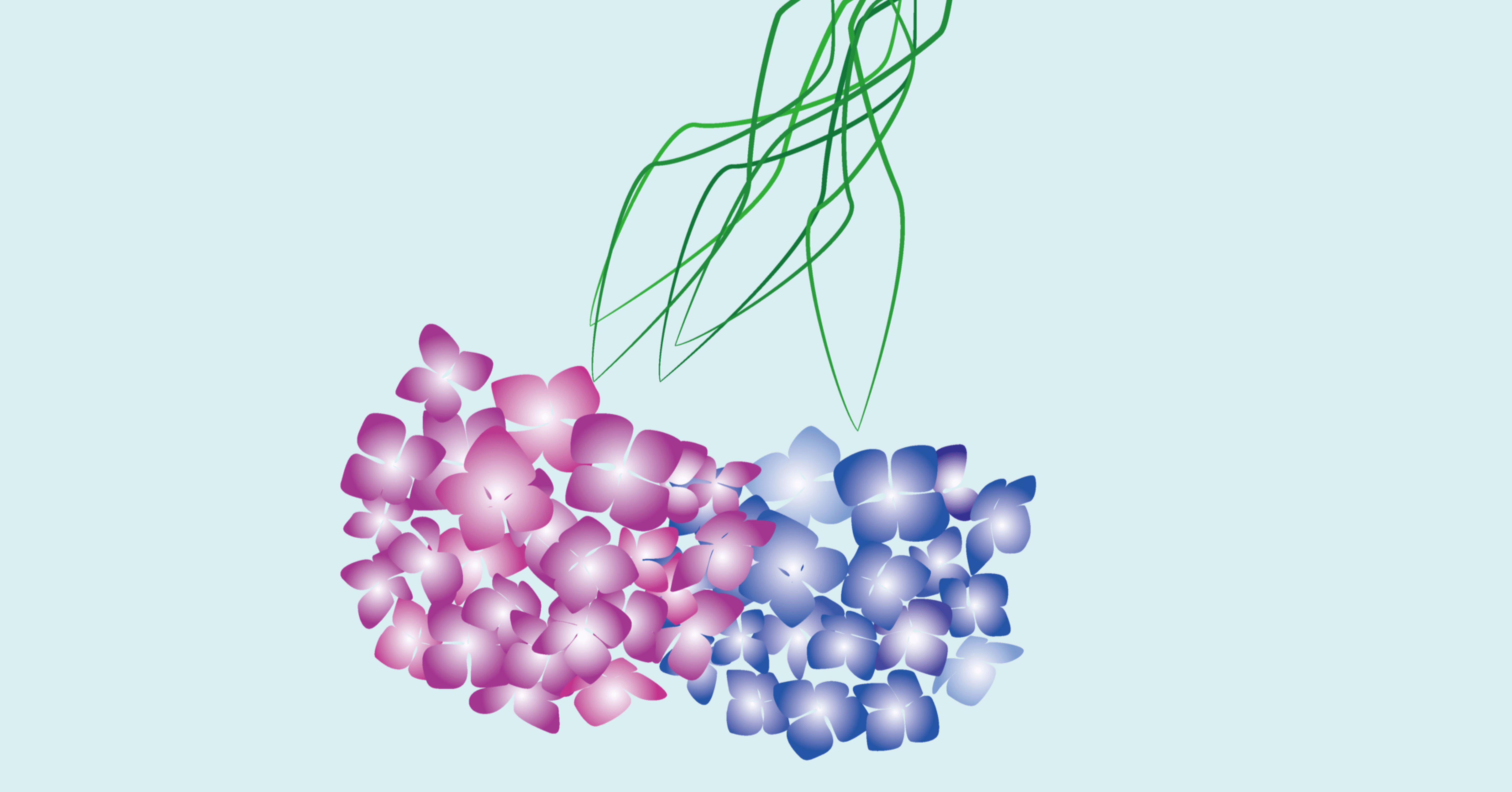 壁紙 6月の紫陽花 Miyami Note 壁紙 6月の紫陽花 Miyami Note