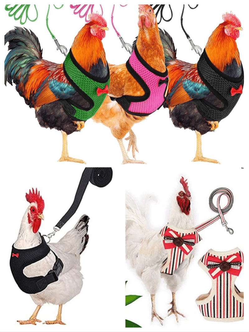 ちょっと変わって面白いモノ 2 ノリノリ Note ちょっと変わって面白いモノ 2 ノリノリ Note