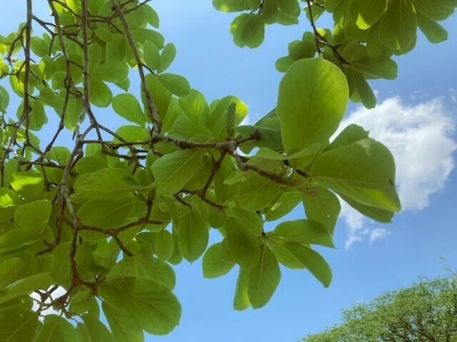 画像17