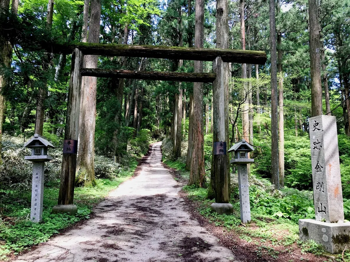 画像7