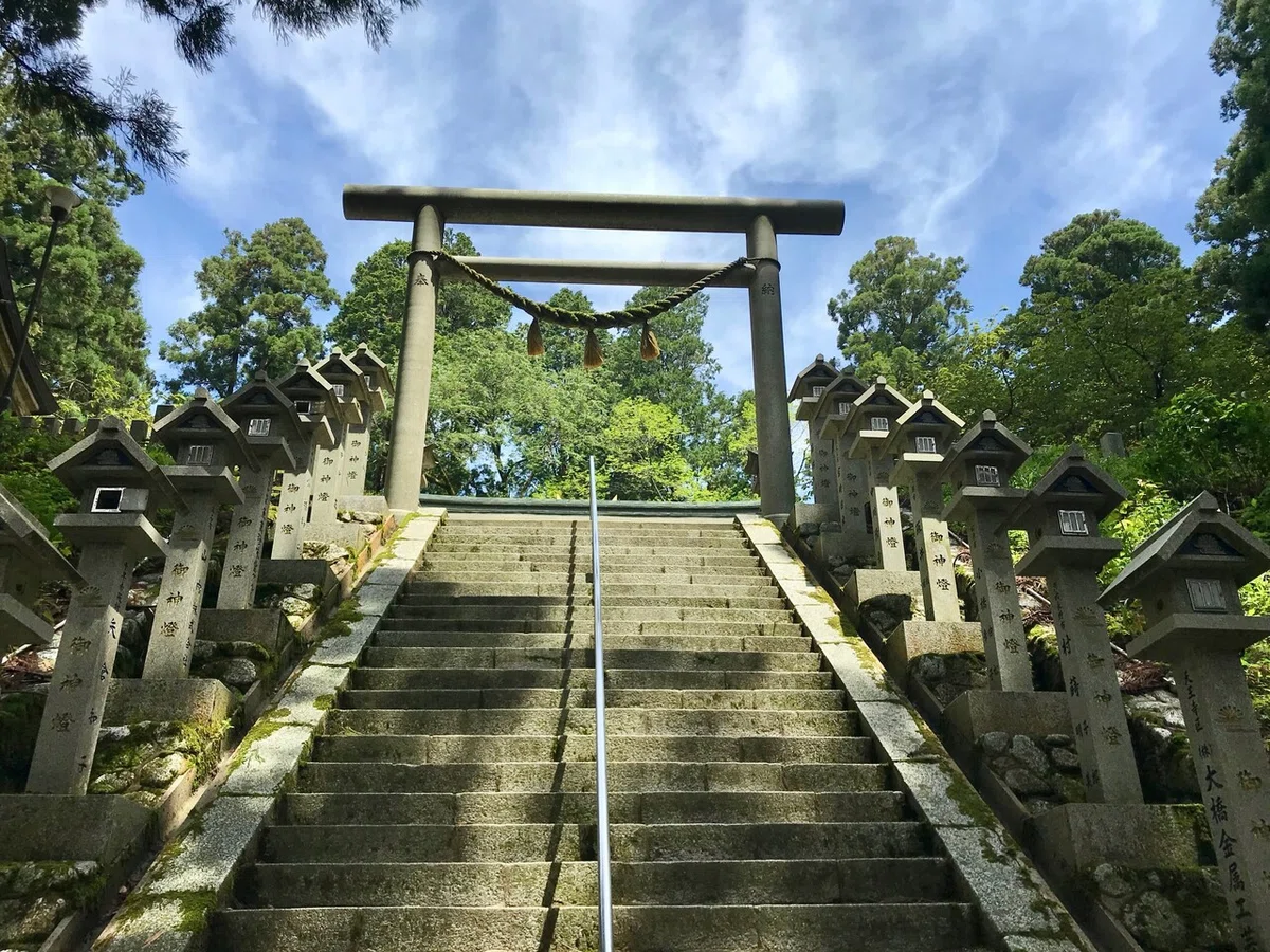 画像8