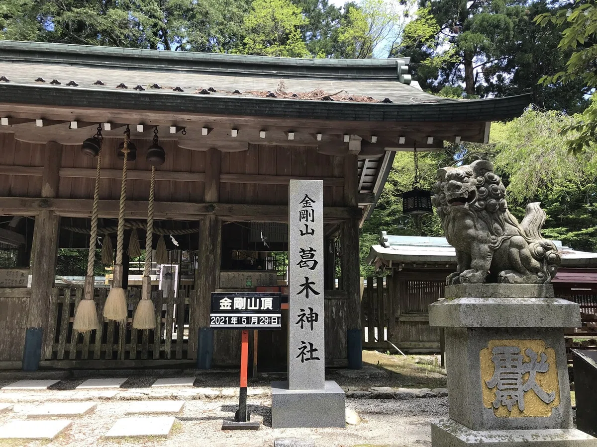画像9