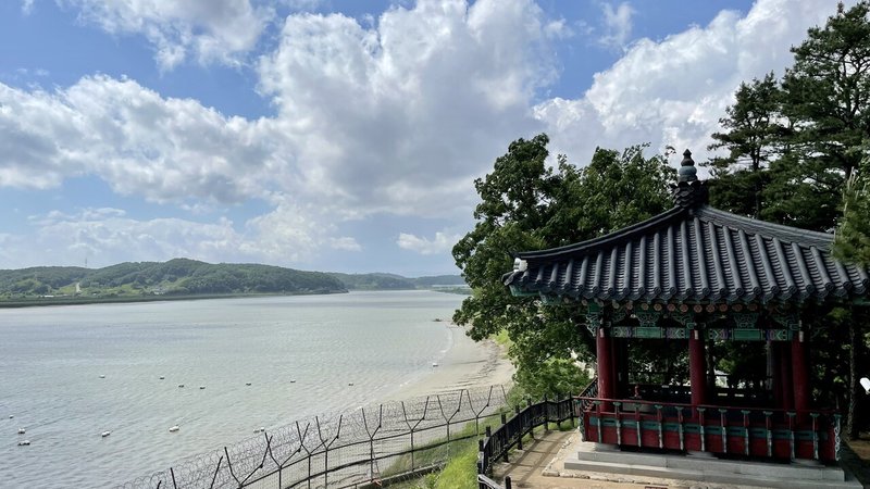 画像8