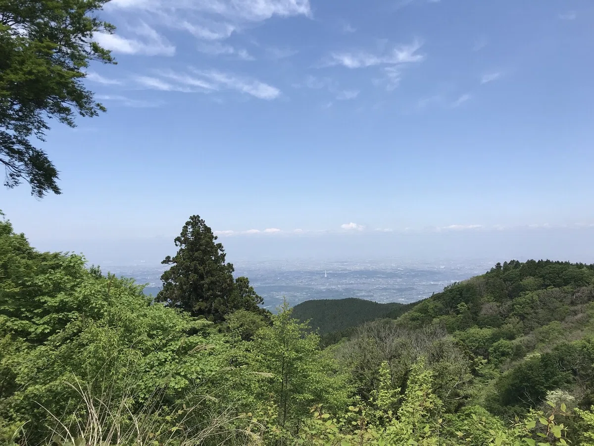 画像10