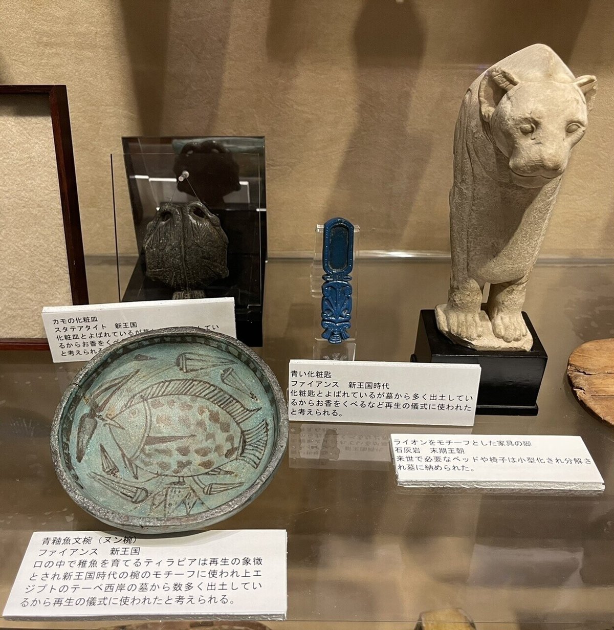 古代エジプト美術館を探検する:前編|Shelk🦋 古代エジプト美術館を探検する:前編|Shelk🦋
