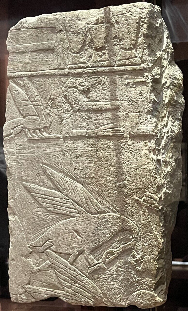 古代エジプト美術館を探検する：前編｜Shelk🦋