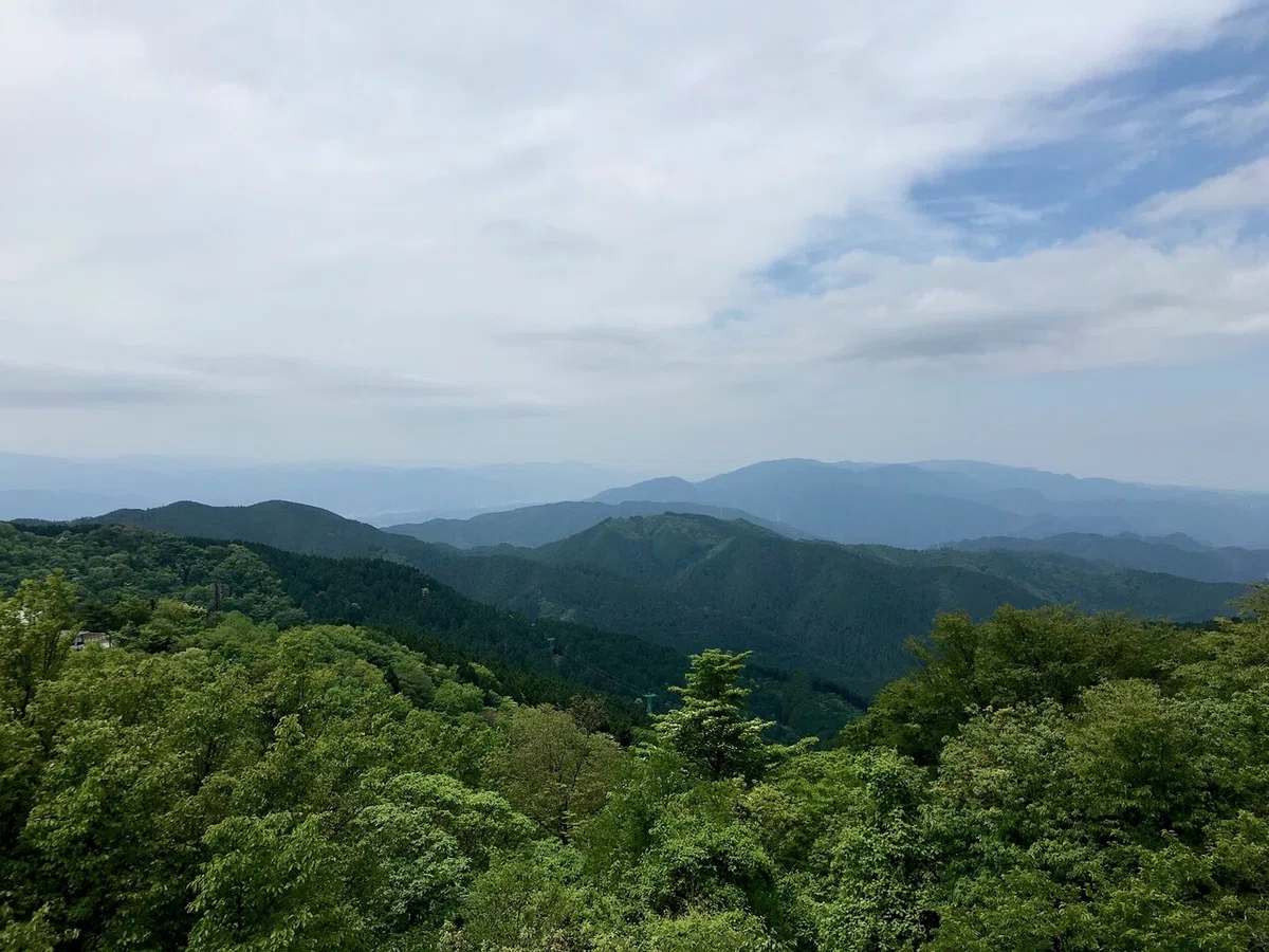 画像11