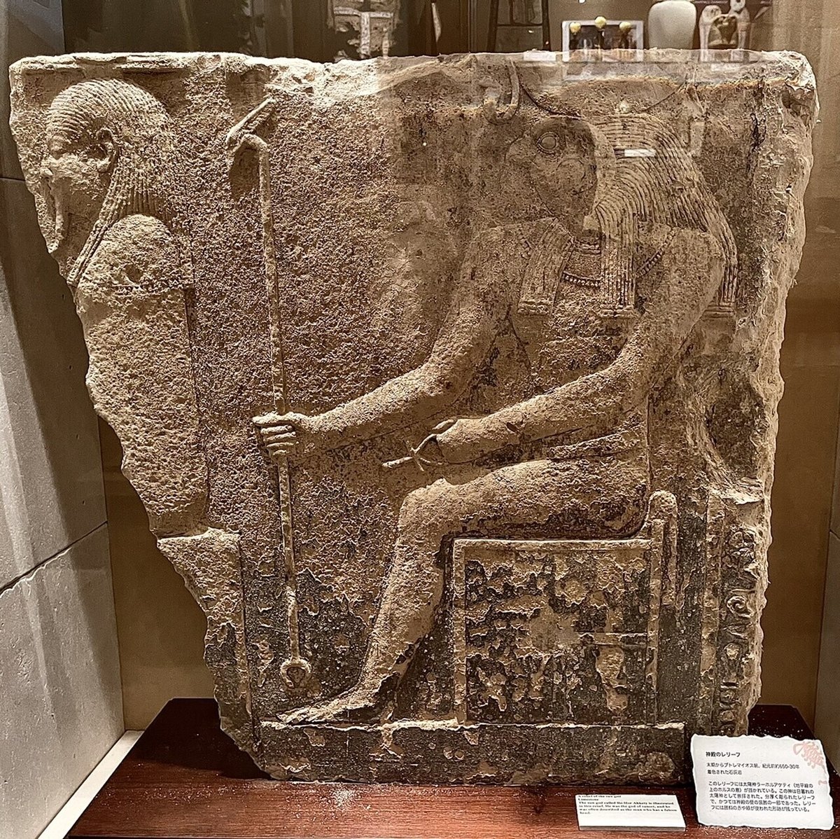 古代エジプト美術館を探検する:前編|Shelk🦋 古代エジプト美術館を探検する:前編|Shelk🦋