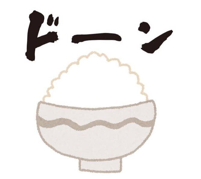 【使用】ごはん ドーン