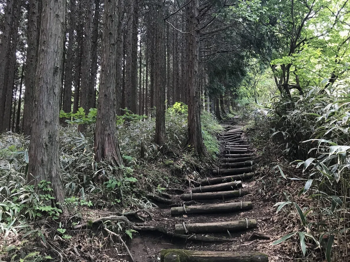 画像12