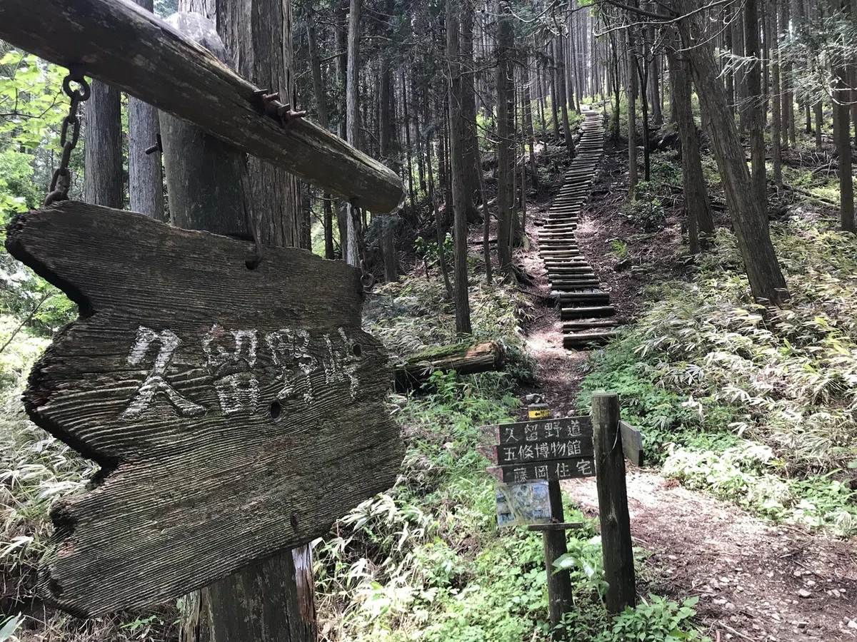画像14