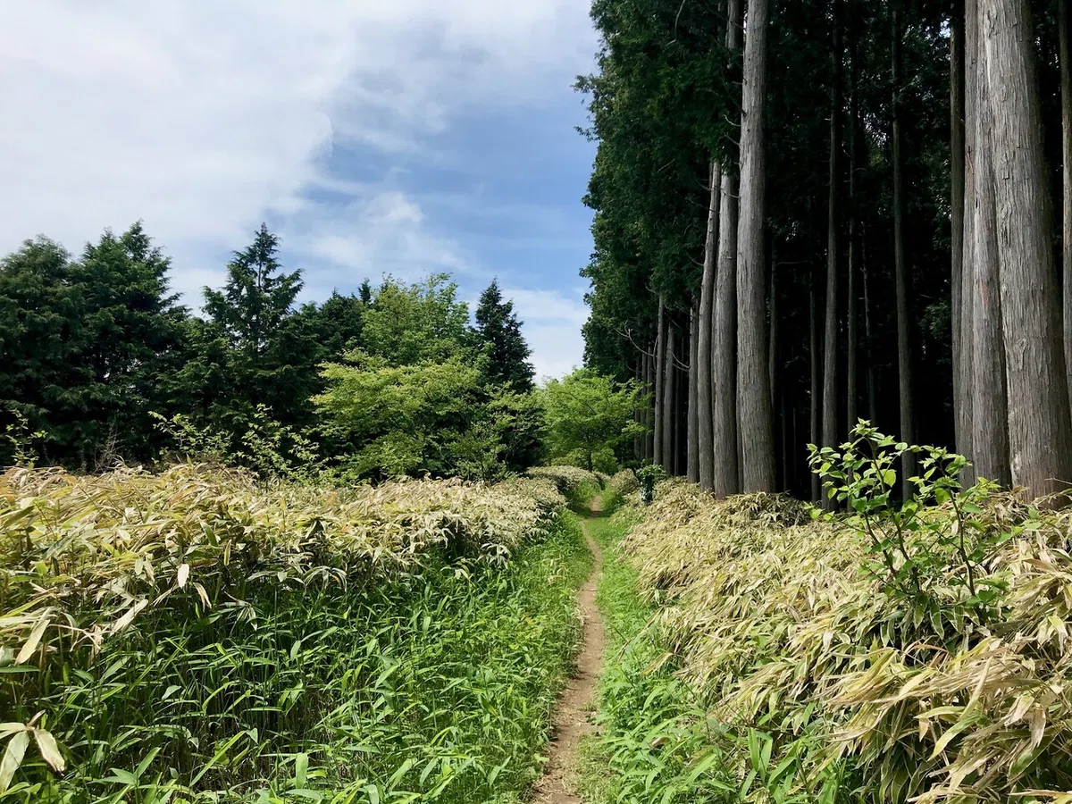 画像15
