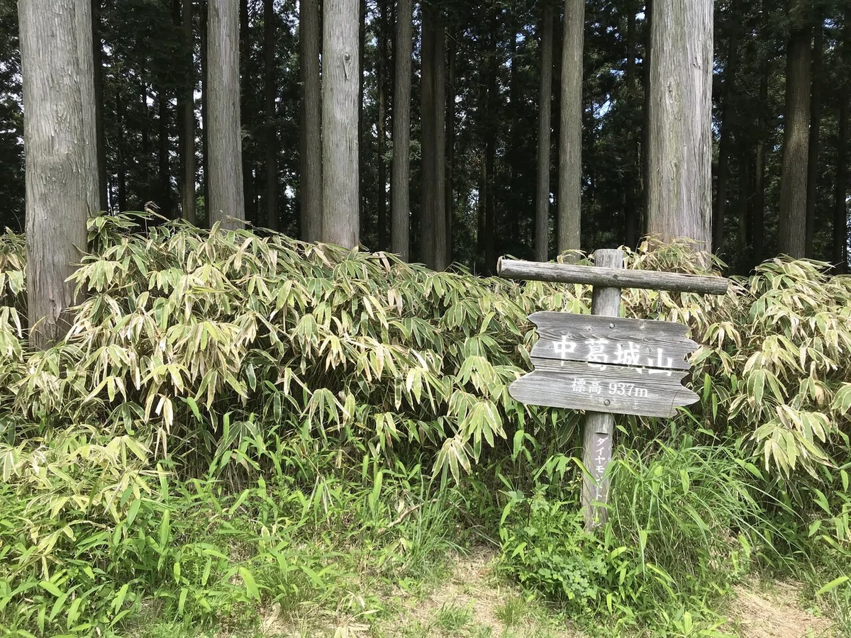 画像16