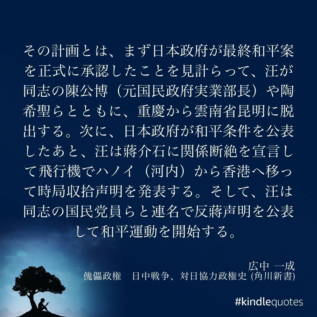 傀儡 政権 と は
