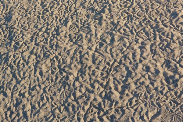 砂紋 の新着タグ記事一覧 Note つくる つながる とどける 砂紋 の新着タグ記事一覧 Note つくる つながる とどける