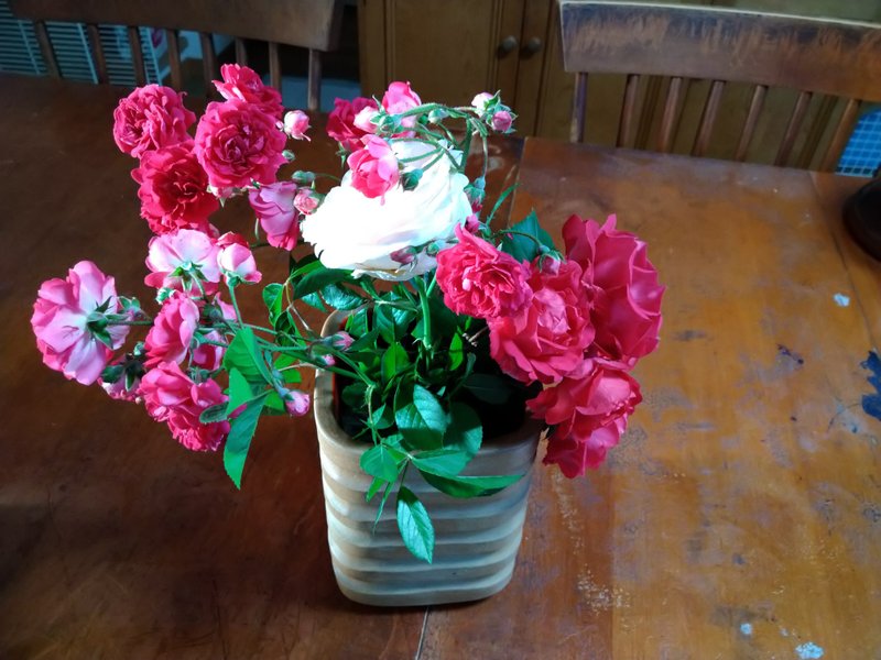 薔薇の名前 の新着タグ記事一覧 Note つくる つながる とどける