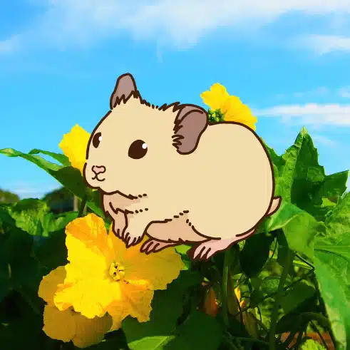 葉月へちま