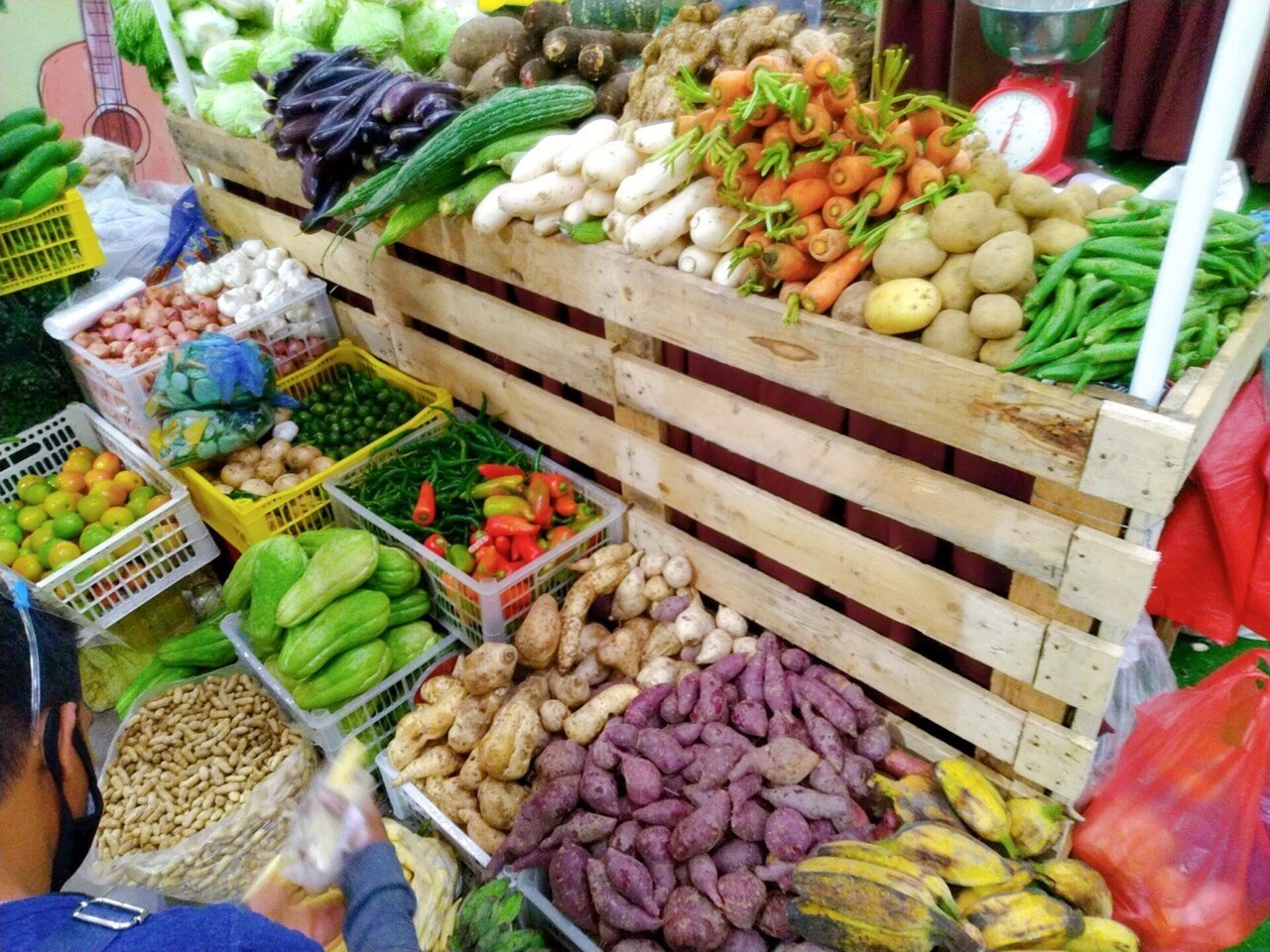 コロナでおうち時間。カモテにはまる🍠｜猫と海外生活
