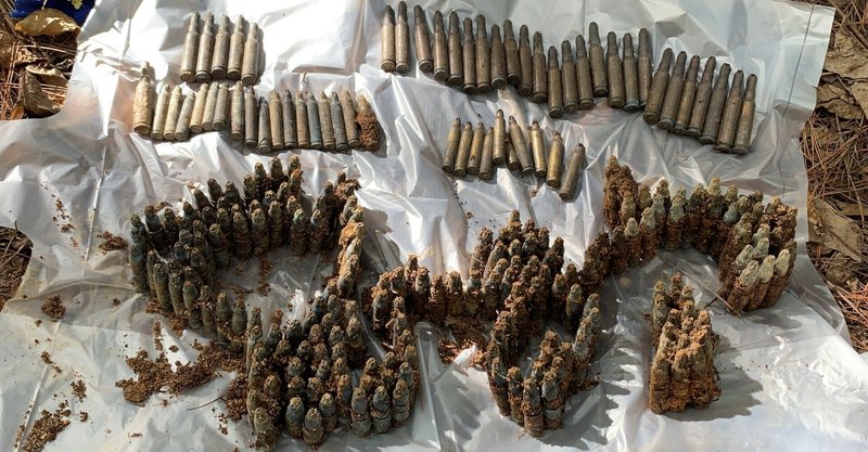 弾薬の生える森-やんばるの米軍廃棄物と世界自然遺産（上）