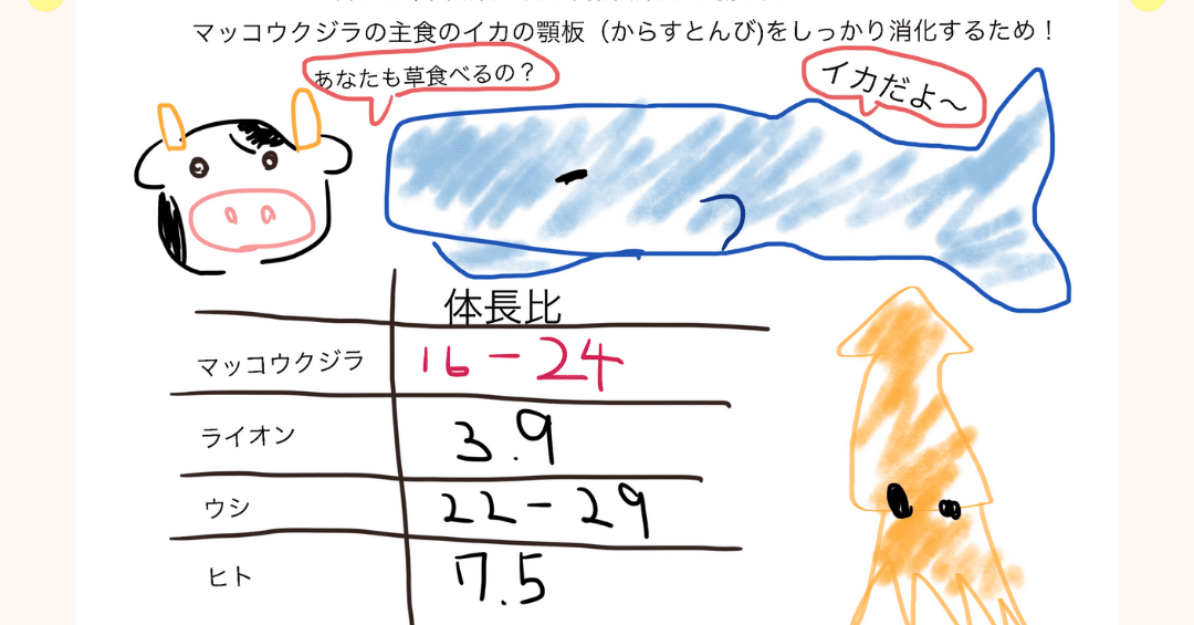 マッコウクジラの腸はなぜ長い 獣医師ふーの 獣医さんとやってみよう自由研究 Note マッコウクジラの腸はなぜ長い 獣医師ふーの 獣医さんとやってみよう自由研究 Note