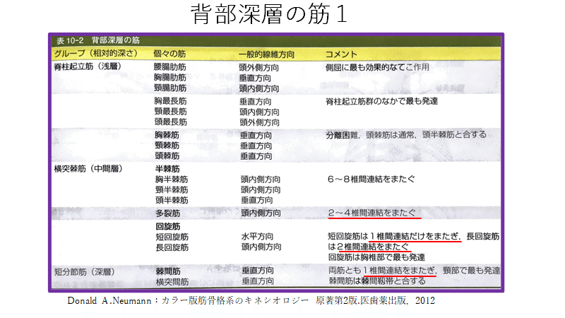 純正購入 筋肉研究最前線 代謝メカニズム、栄養、老化・疾病予防、科学