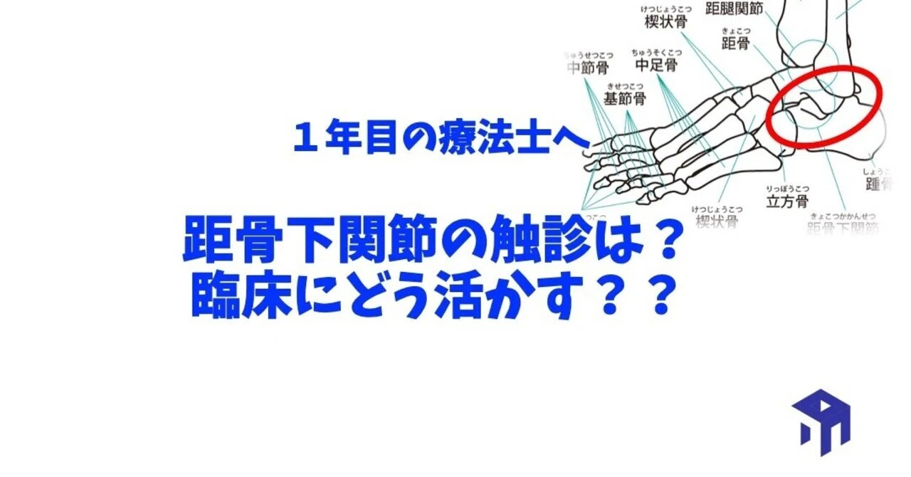 距骨下関節の触診 加藤淳 Note