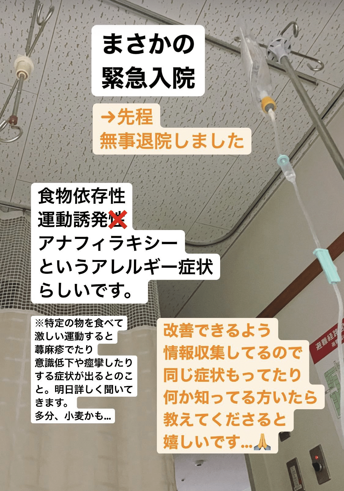 何でも食べる自分が よもやよもや 一昨日の夜に 食物依存性運動誘発アナフィラキシー と思われる症状で意識を失って救急車で病院に運ばれました 成人後の発現は珍しいらしいのですが 皆様も運動後に目眩な 山吹 Note