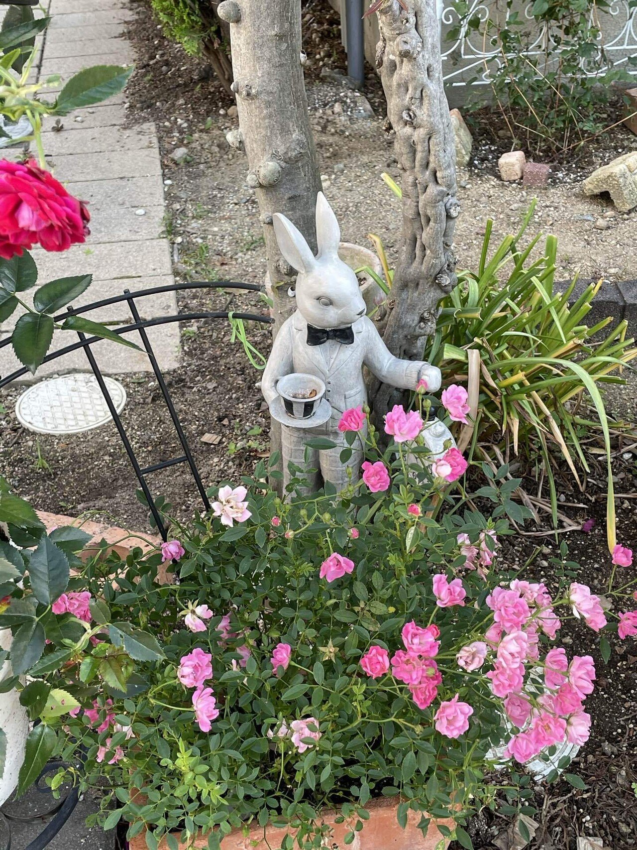 5/31、聖母の訪問の祝日、イエスをみごもったマリアがエリザベトを訪問しました。コロナ禍で子供を産みにくい状況が生まれています。出産を控えて