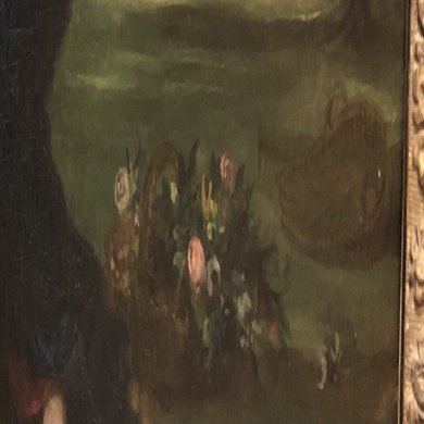 広大な森の中で小さな「花」に注目｜Le yusée